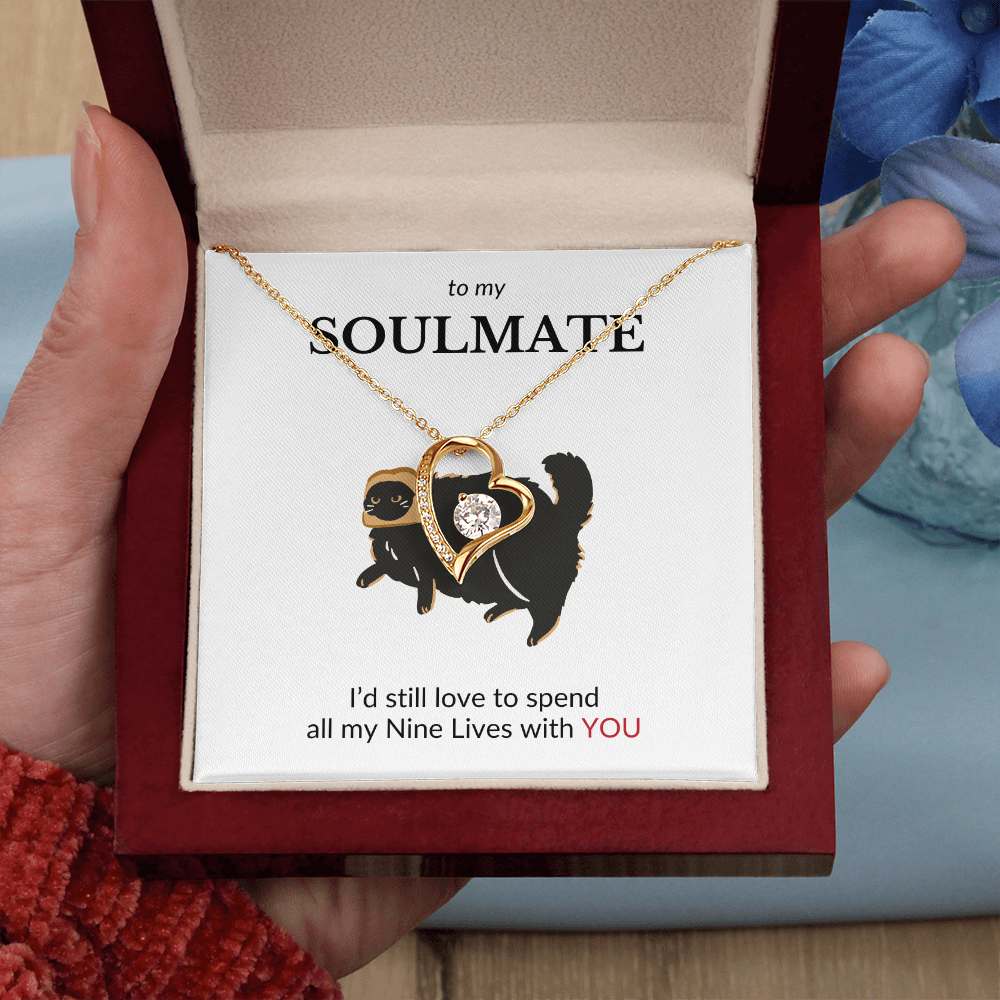 To My Soulmate- I'd Still Spend All Nine Lives- Forever Love Necklace