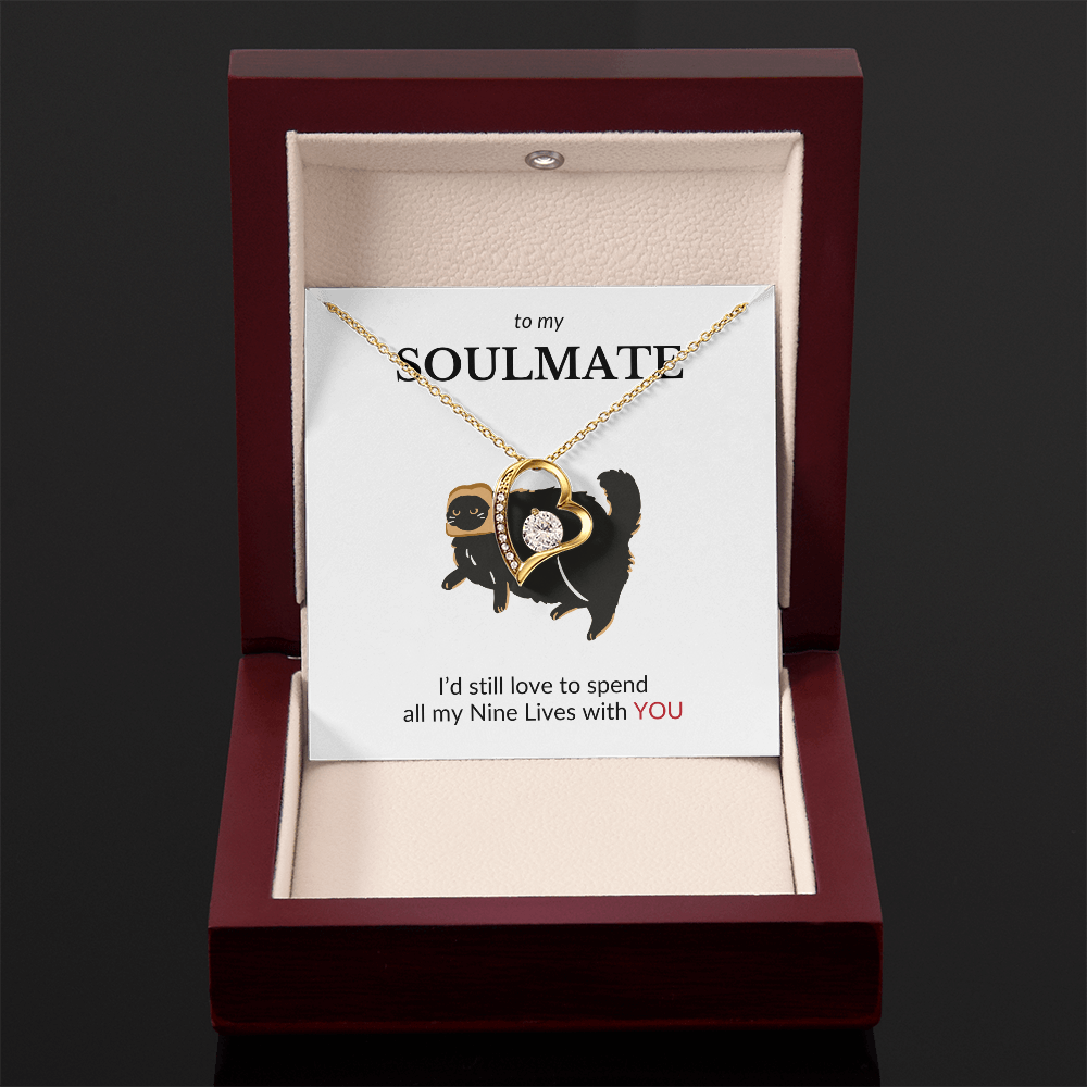 To My Soulmate- I'd Still Spend All Nine Lives- Forever Love Necklace