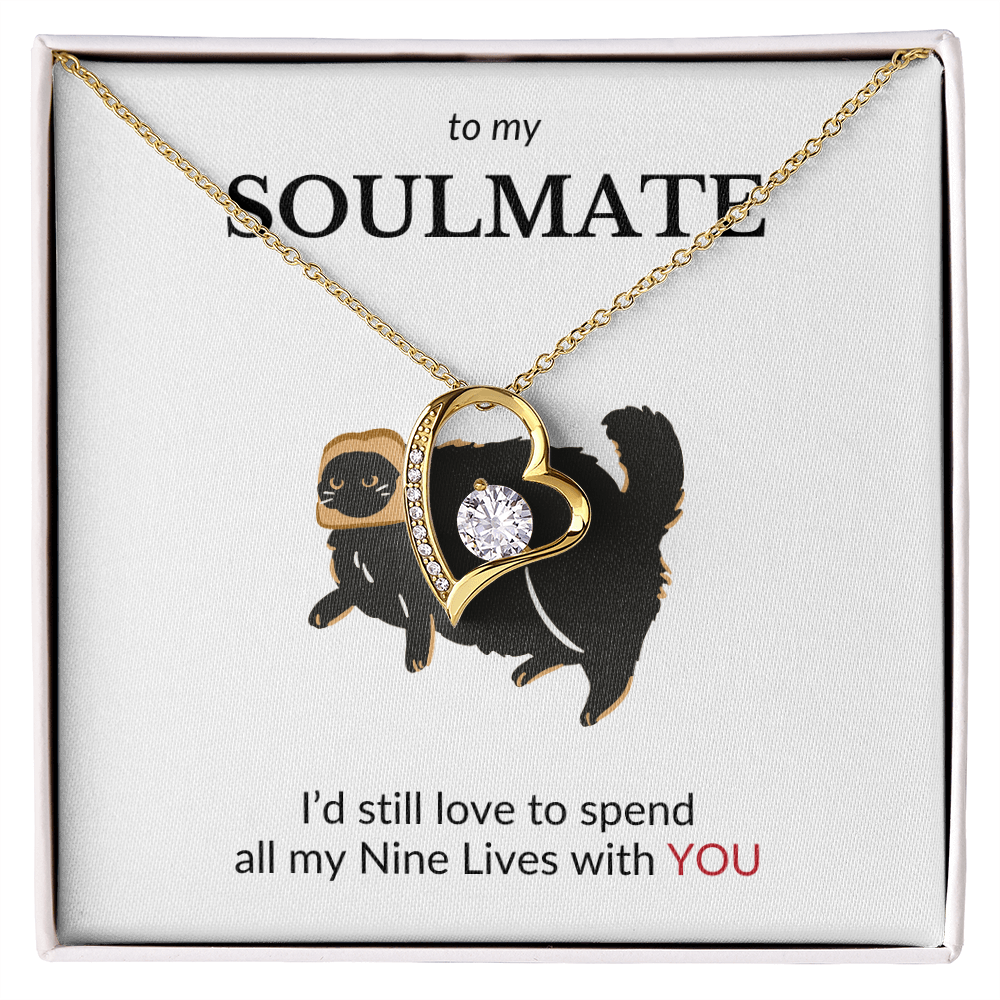 To My Soulmate- I'd Still Spend All Nine Lives- Forever Love Necklace