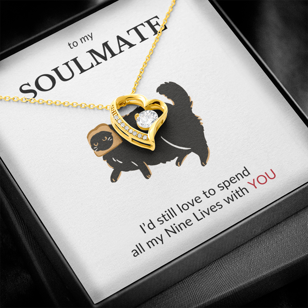 To My Soulmate- I'd Still Spend All Nine Lives- Forever Love Necklace
