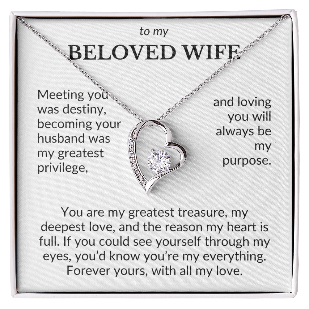 To My Beloved Wife- Meeting You Was Destiny- Forever Love Necklace