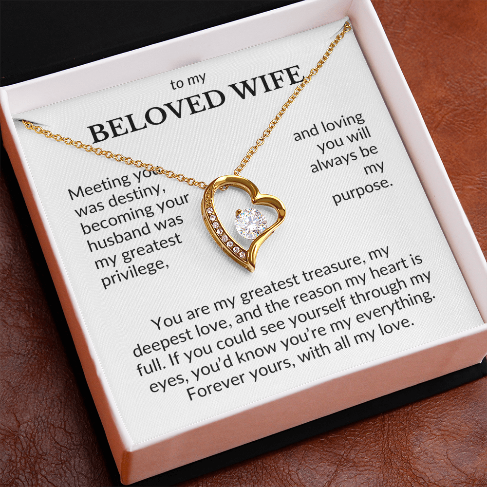 To My Beloved Wife- Meeting You Was Destiny- Forever Love Necklace